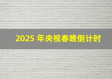 2025 年央视春晚倒计时